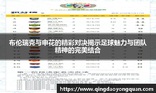 悟空体育布伦瑞克与申花的精彩对决揭示足球魅力与团队精神的完美结合